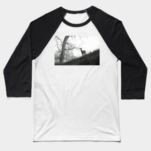 Cherry Creek Wilderness Baseball T-Shirt